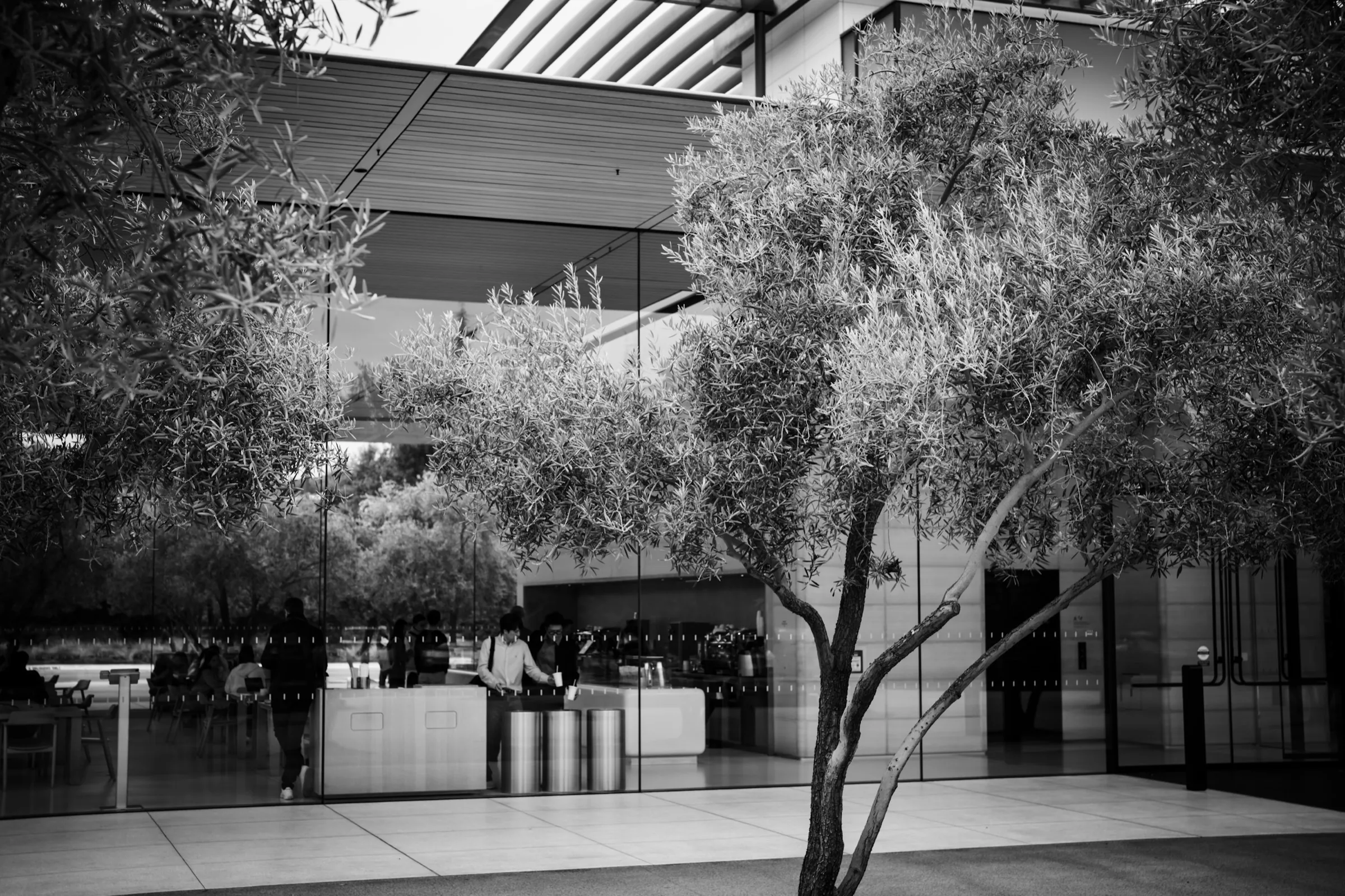 An indoor courtyard with a tree and people at a counter