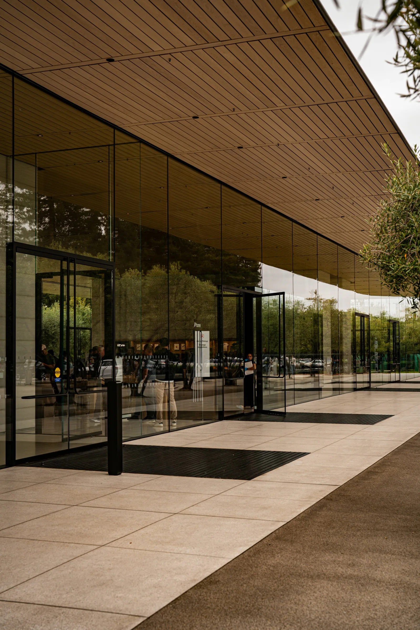A glazed entrance under a deep timber roof